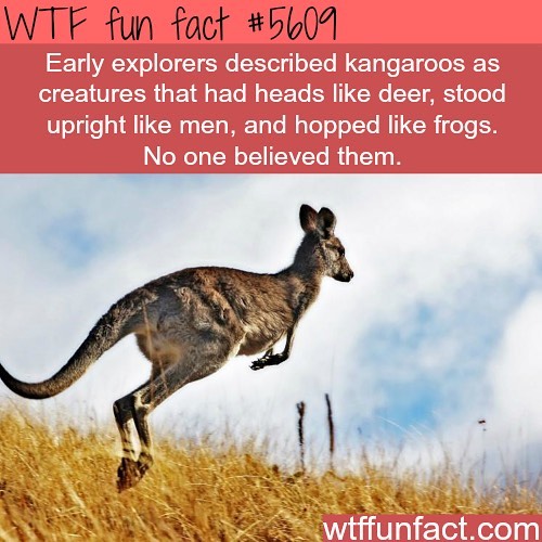 Weird-Fun-Facts