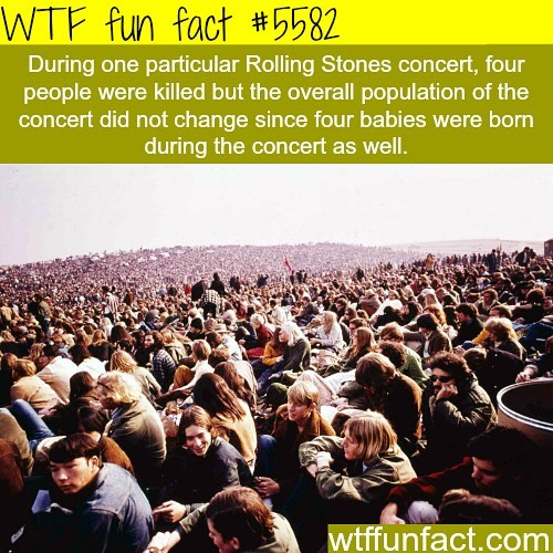 Weird-Fun-Facts