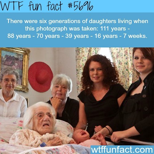 Weird-Fun-Facts