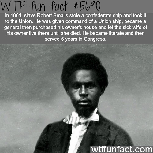 Weird-Fun-Facts