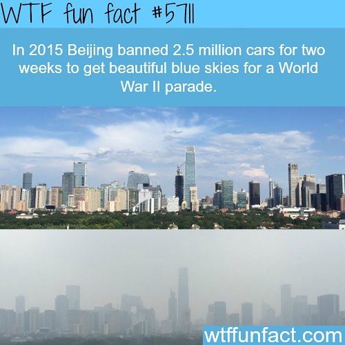 Weird-Fun-Facts