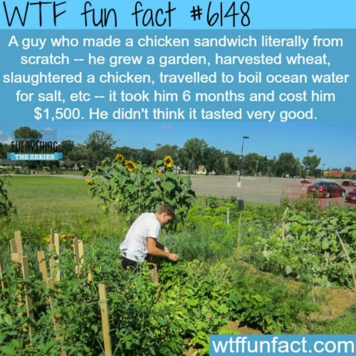 Weird-Fun-Facts