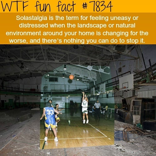 Weird-Fun-Facts
