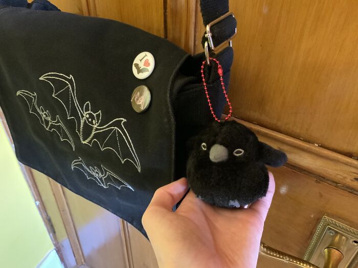 A Little Raven, I Named Him Quoth! 😂