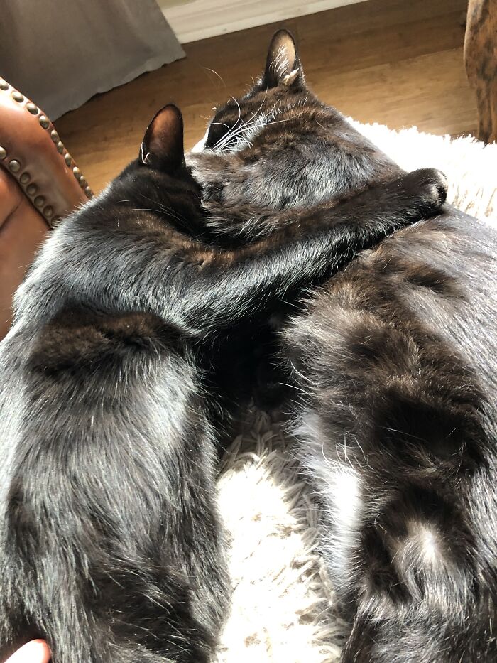 Sorry For A Bunch Of Pics… But They’re Adorable