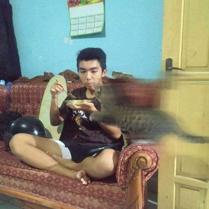 Funny-Nonsense-Animal-Images