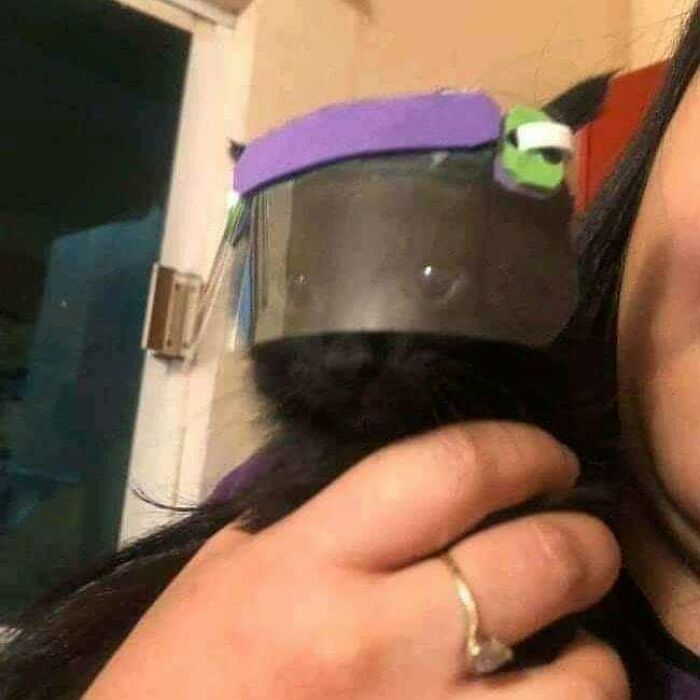 Funny-Nonsense-Animal-Images