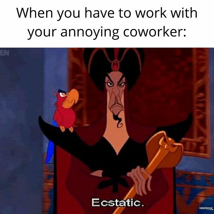 Funny-Work-Memes-Yourdayatwork