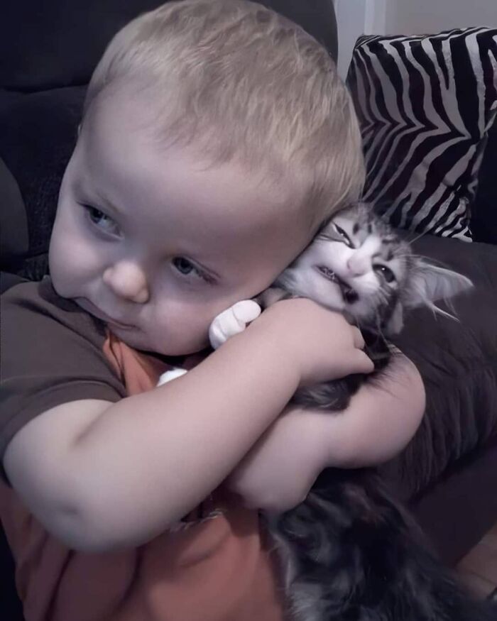 Funny-Nonsense-Animal-Images