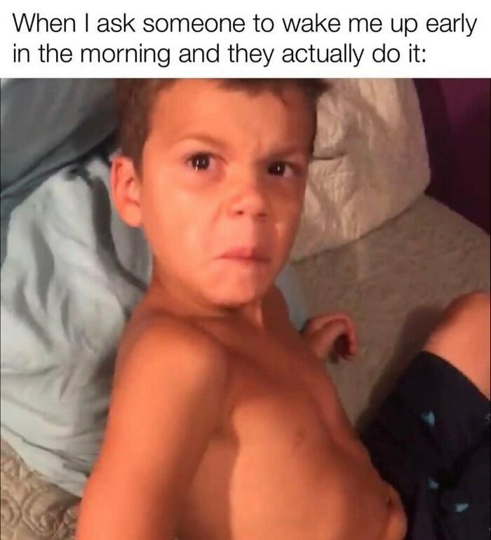 Student-University-Life-Memes