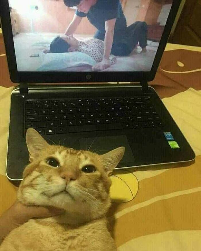 Funny-Nonsense-Animal-Images