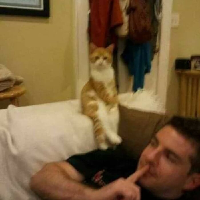 Funny-Nonsense-Animal-Images