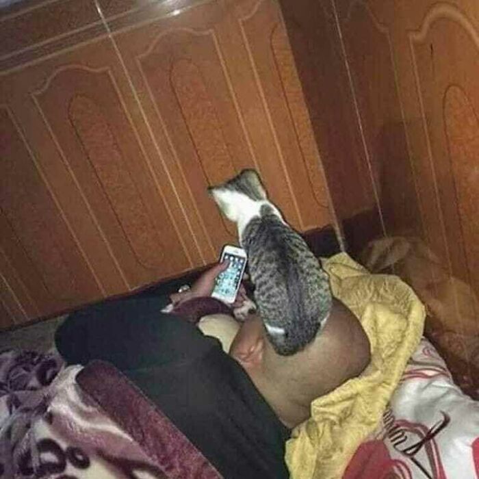 Funny-Nonsense-Animal-Images