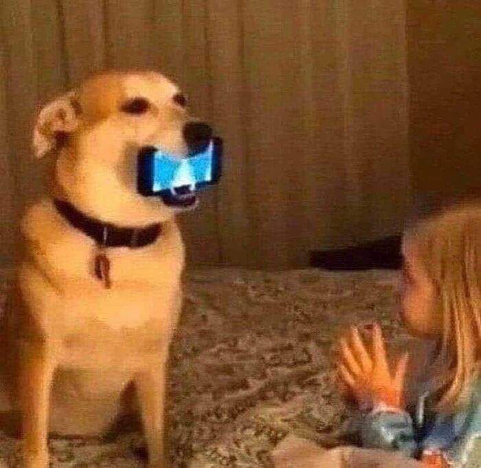 Funny-Nonsense-Animal-Images