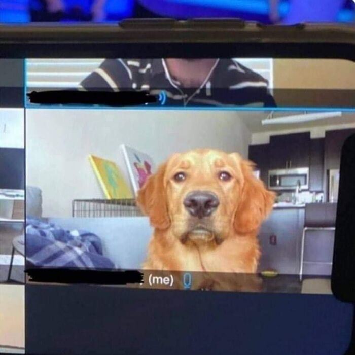 Funny-Nonsense-Animal-Images