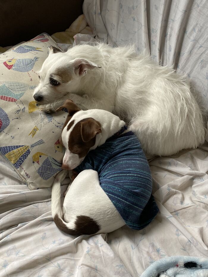 Well One Is Kind Of Sleeping