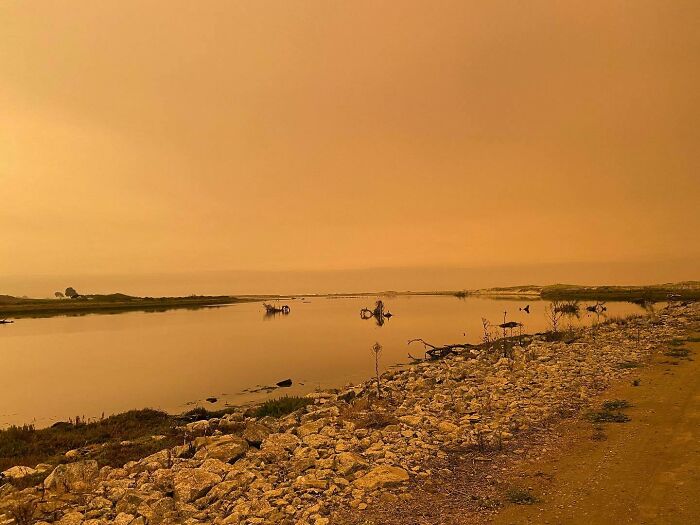 I’m Heartbroken To See The State I Call Home Literally In Flames. In Santa Cruz, It Started With A Lightning Storm That Is Atypical For The Central Coast