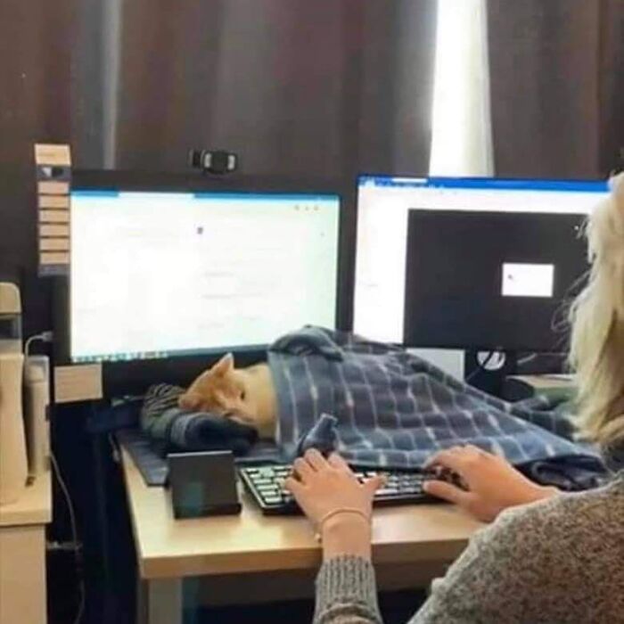 Funny-Nonsense-Animal-Images