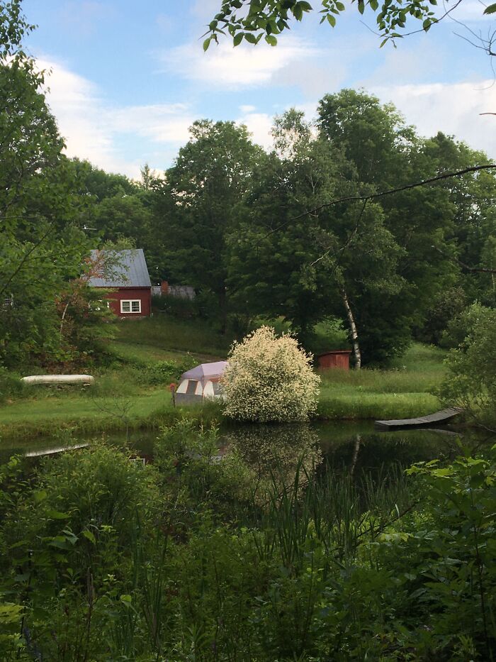 I Simply Cannot Choose One Thing.