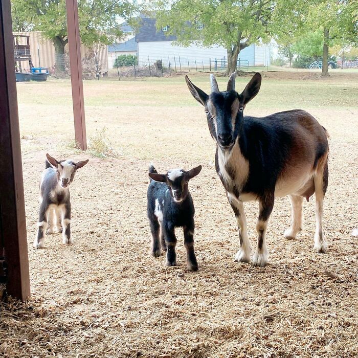 First Family Portrait