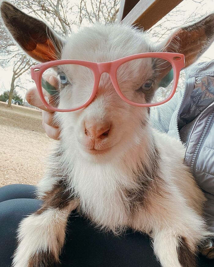 She’s Cute And Smart