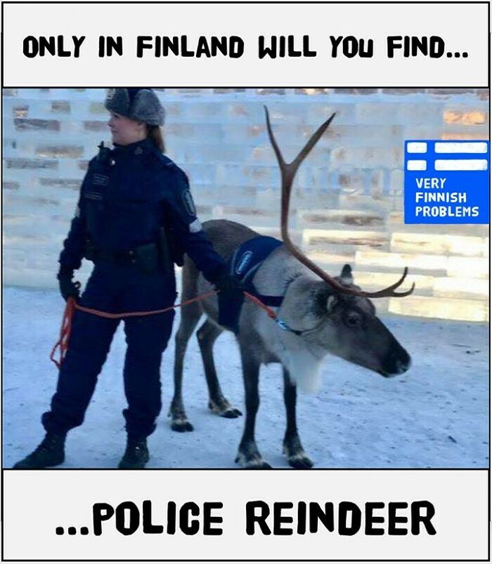 When You Get Pulled Over By A Reindeer :)