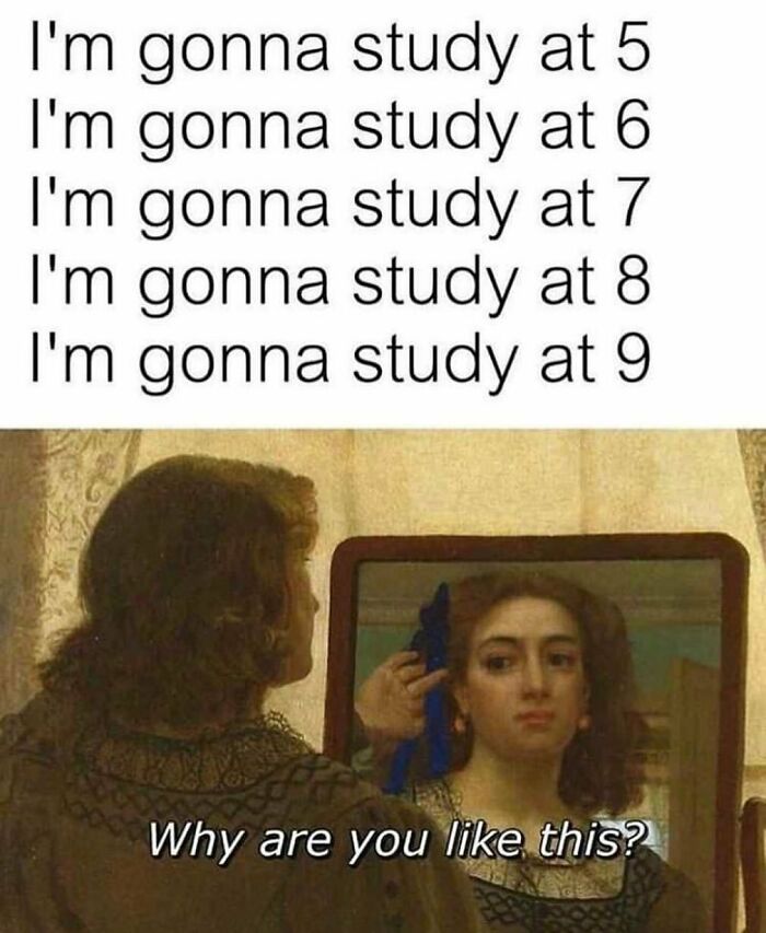 Student-University-Life-Memes