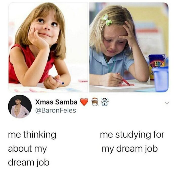 Student-University-Life-Memes