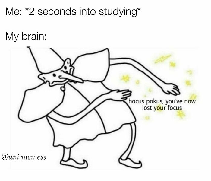 Student-University-Life-Memes