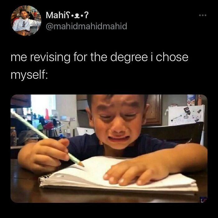 Student-University-Life-Memes