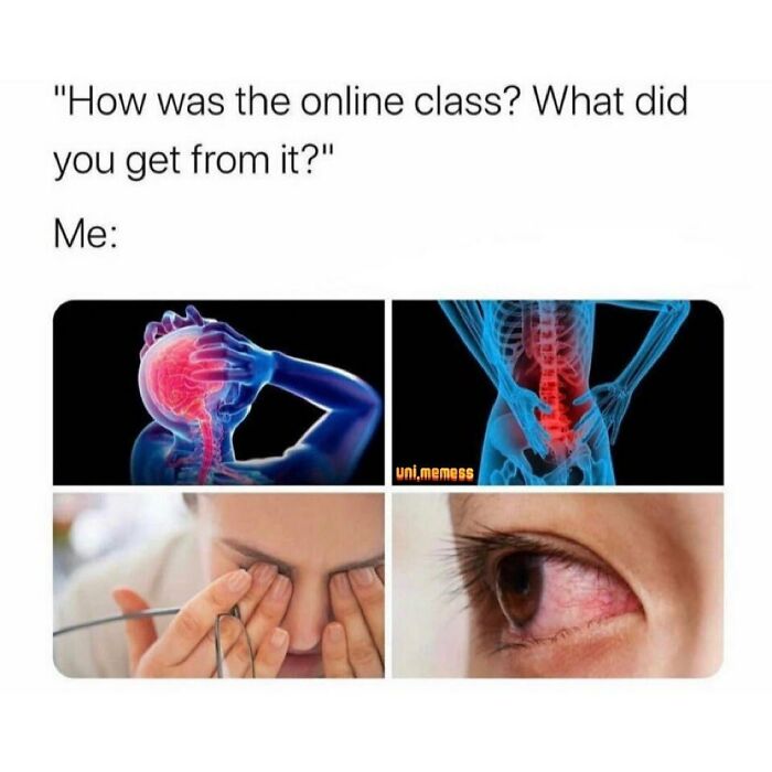 Student-University-Life-Memes