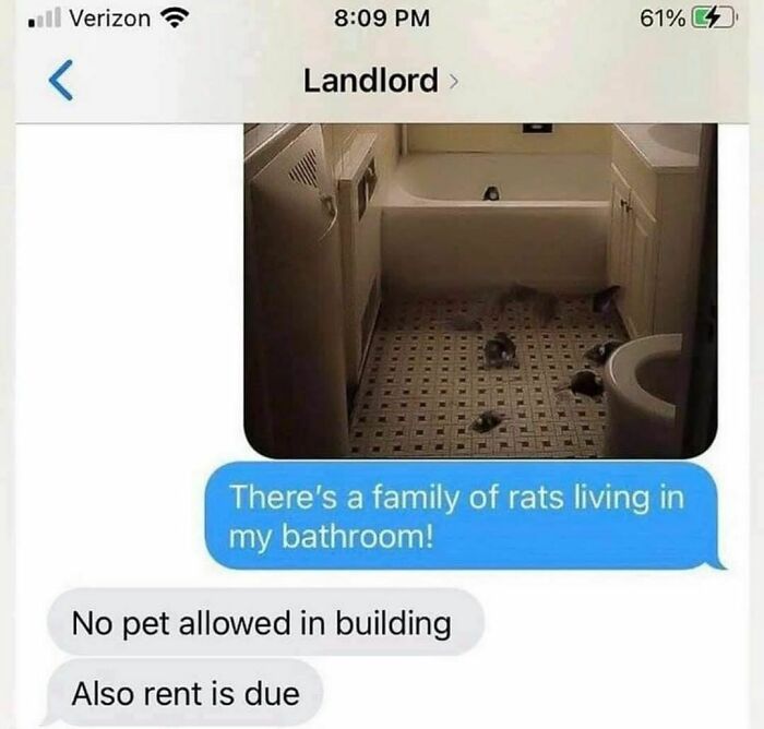 Student-University-Life-Memes