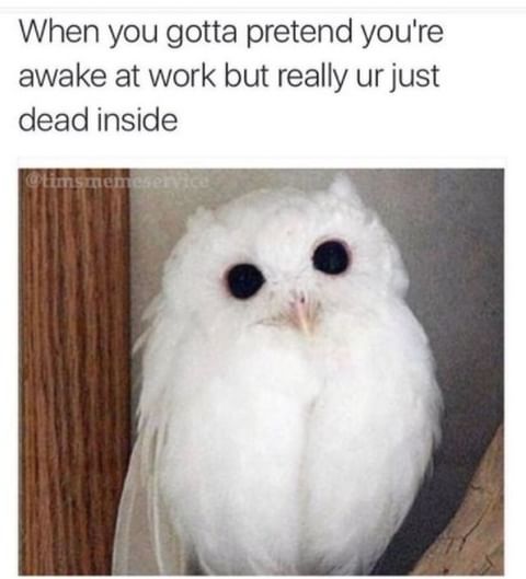 Office-Struggles-Memes