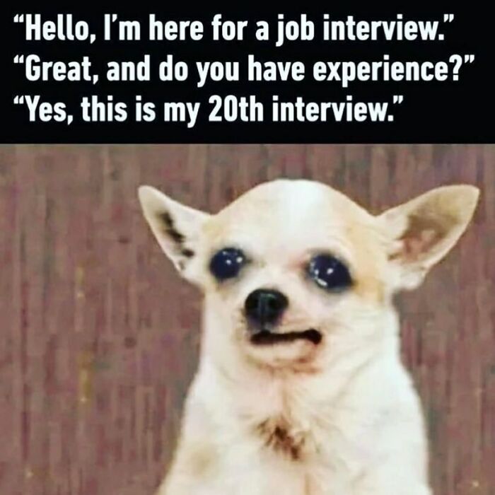 Funny-Work-Memes-Yourdayatwork