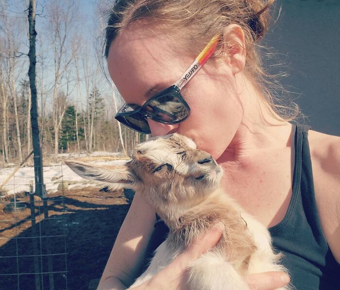 The Joys That Spring Brings