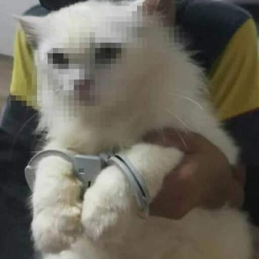 Funny-Nonsense-Animal-Images