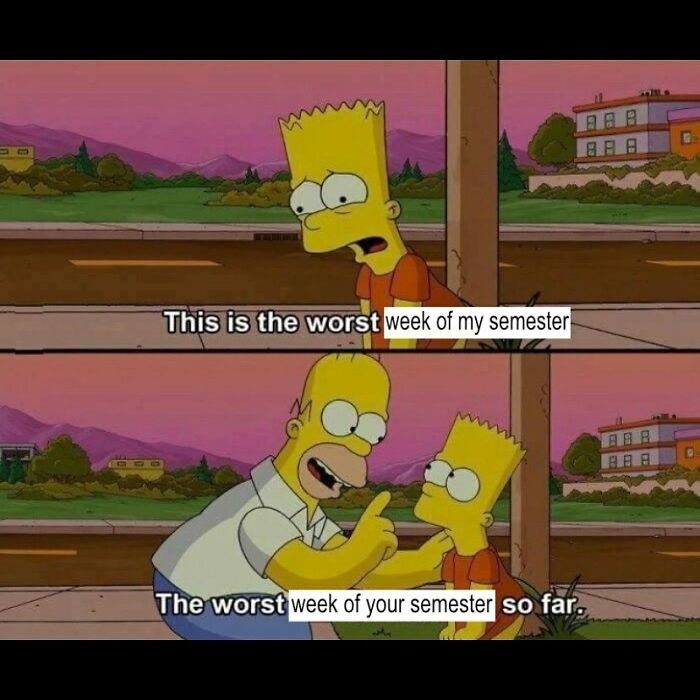 Student-University-Life-Memes