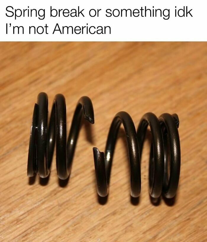 Student-University-Life-Memes