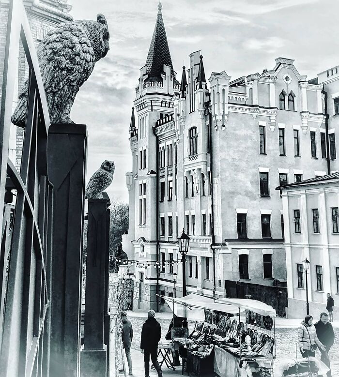 "Owls Are Not What They Seem" (Twin Peaks)