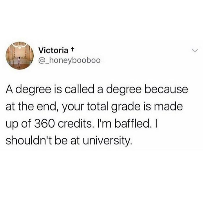Student-University-Life-Memes