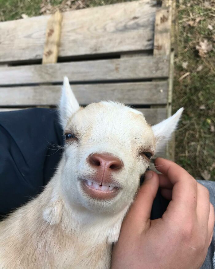 My Best Smile Just For You