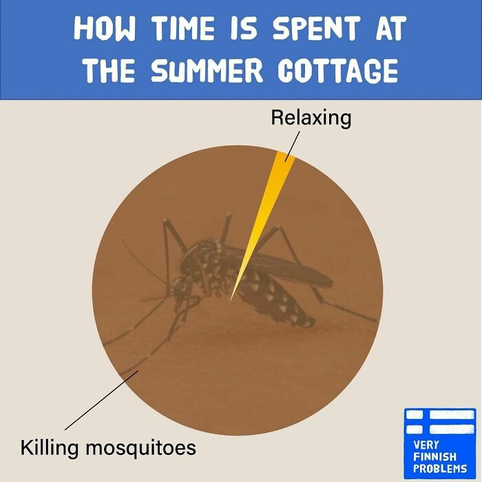 When You Get A Buzzing Visitor In Your Cottage