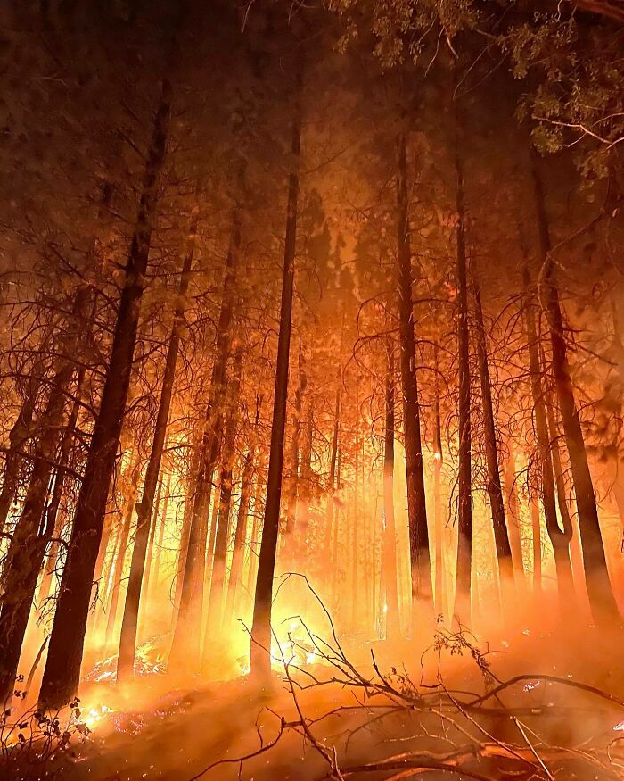 Front Row Seat While Watching This Spot Fire Burn Into The Morning