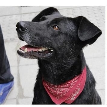 Working-Class-History-Pics