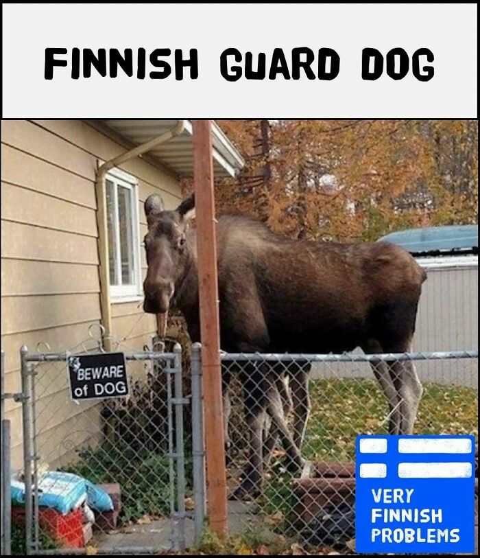 When You Get A Surprise Guest