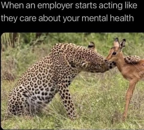 Office-Struggles-Memes