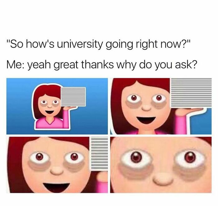 Student-University-Life-Memes