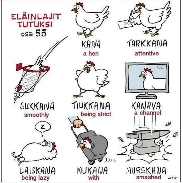 When Finnish Messes With Your Head 😀