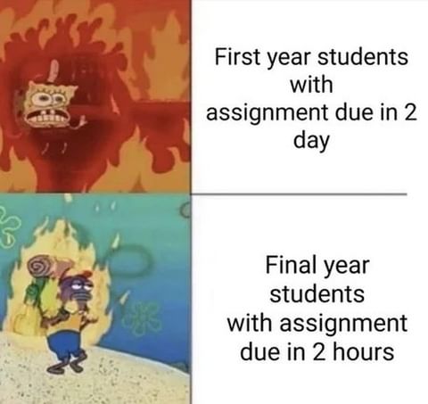 Student-University-Life-Memes