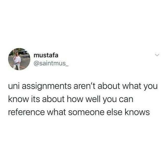 Student-University-Life-Memes